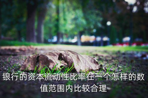 銀行的資本流動性比率在一個怎樣的數(shù)值范圍內(nèi)比較合理