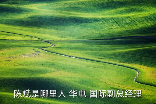 陳斌是哪里人 華電 國(guó)際副總經(jīng)理