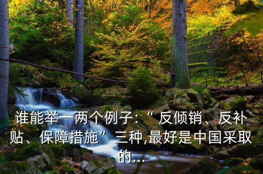 誰能舉一兩個例子:“ 反傾銷、反補貼、保障措施”三種,最好是中國采取的...
