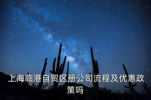  上海臨港自貿區(qū)冊公司流程及優(yōu)惠政策嗎