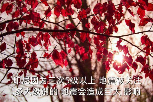  印尼因?yàn)槿?級以上 地震被關(guān)注,多大級別的 地震會造成巨大 影響