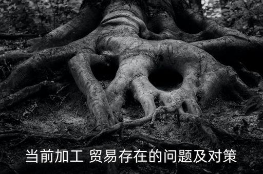 當(dāng)前加工 貿(mào)易存在的問題及對(duì)策