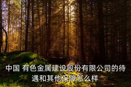 中國 有色金屬建設股份有限公司的待遇和其他保障怎么樣