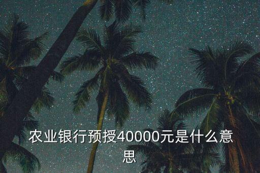  農(nóng)業(yè)銀行預授40000元是什么意思