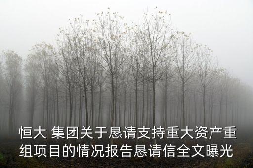  恒大 集團(tuán)關(guān)于懇請支持重大資產(chǎn)重組項目的情況報告懇請信全文曝光