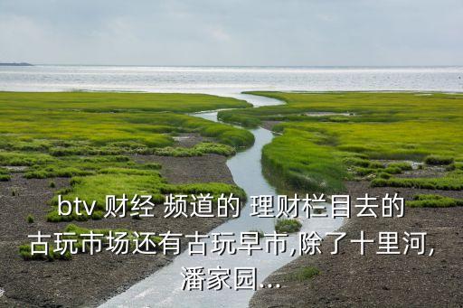btv 財(cái)經(jīng) 頻道的 理財(cái)欄目去的古玩市場還有古玩早市,除了十里河,潘家園...