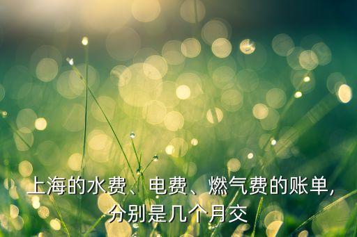 上海的水費、電費、燃氣費的賬單,分別是幾個月交