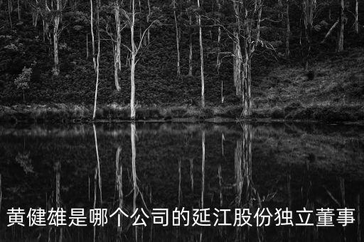 黃健雄是哪個公司的延江股份獨立董事