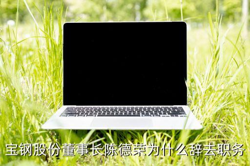 寶鋼股份董事長(zhǎng)陳德榮為什么辭去職務(wù)