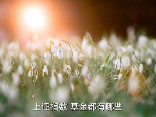 滬市的基金,滬市基金賬戶可以開幾個