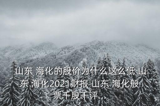  山東 ?；墓蓛r為什么這么低 山東 ?；?021財報 山東 海化般票千股千評...