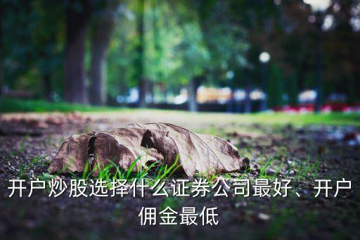 開戶炒股選擇什么證券公司最好、開戶傭金最低