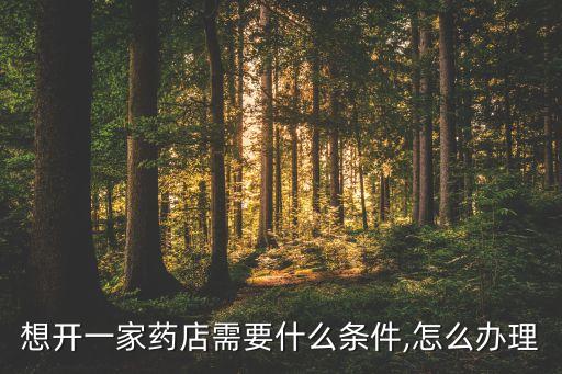 想開(kāi)一家藥店需要什么條件,怎么辦理
