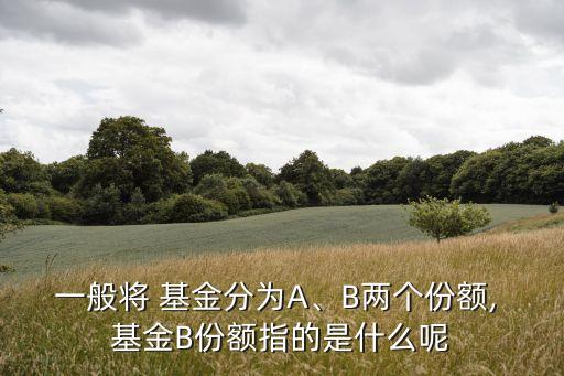 一般將 基金分為A、B兩個(gè)份額, 基金B(yǎng)份額指的是什么呢