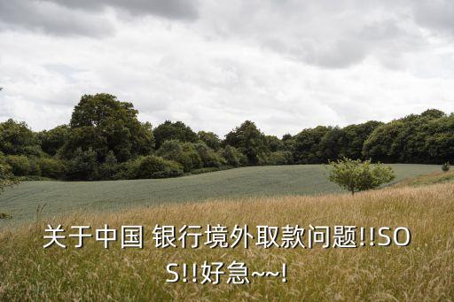 關于中國 銀行境外取款問題!!SOS!!好急~~!