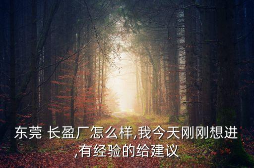 長盈精密電子有限公司,自貢長盈精密技術(shù)有限公司