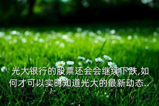 光大銀行2013報(bào)告,中國光大銀行2013年報(bào)告