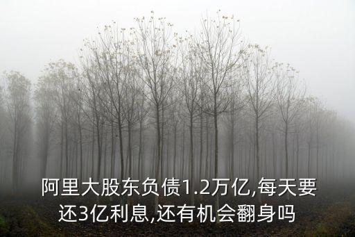  阿里大股東負債1.2萬億,每天要還3億利息,還有機會翻身嗎
