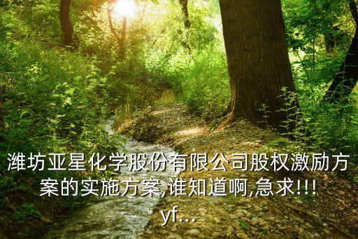 濰坊亞星化學(xué)股份有限公司股權(quán)激勵方案的實(shí)施方案,誰知道啊,急求!!!yf...