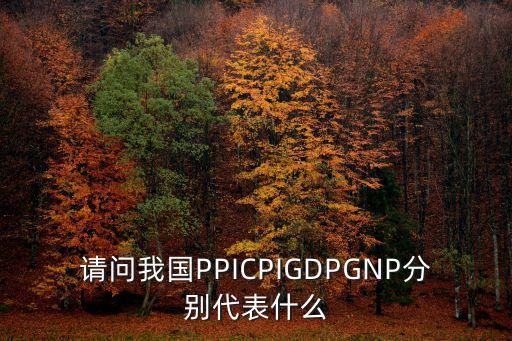 請問我國PPICPIGDPGNP分別代表什么