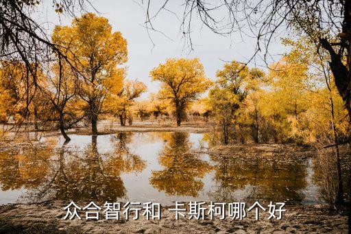 卡斯科信號公司,上?？ㄋ箍菩盘柟?/></a></span><span id=