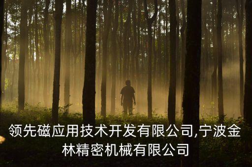 寧波領(lǐng)先磁應(yīng)用技術(shù)開發(fā)有限公司,寧波金林精密機械有限公司