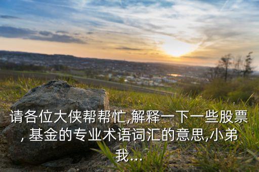 請各位大俠幫幫忙,解釋一下一些股票, 基金的專業(yè)術語詞匯的意思,小弟我...