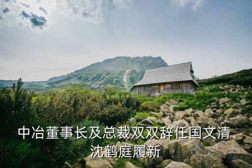  中冶董事長(zhǎng)及總裁雙雙辭任國(guó)文清、沈鶴庭履新
