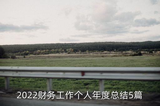 2022財(cái)務(wù)工作個人年度總結(jié)5篇