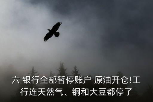 六 銀行全部暫停賬戶 原油開(kāi)倉(cāng)!工行連天然氣、銅和大豆都停了