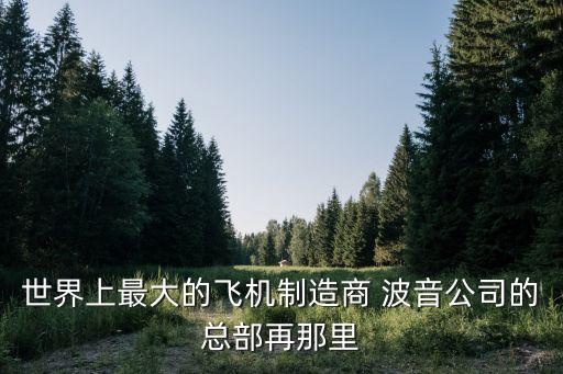 世界上最大的飛機制造商 波音公司的總部再那里
