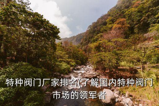 特種閥門廠家排名(了解國內(nèi)特種閥門市場的領軍者