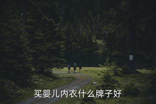 買嬰兒內(nèi)衣什么牌子好