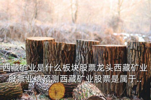 西藏礦業(yè)是什么板塊股票龍頭西藏礦業(yè)股票業(yè)績預測西藏礦業(yè)股票是屬于...