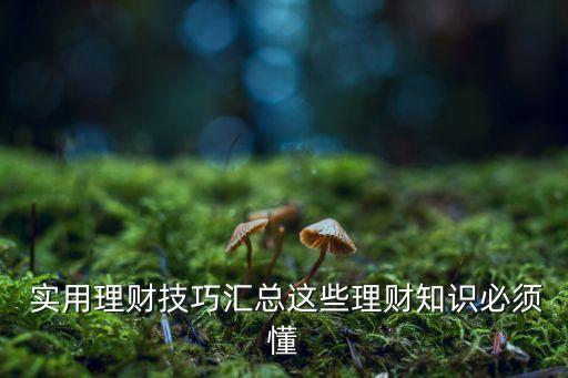  實(shí)用理財(cái)技巧匯總這些理財(cái)知識必須懂