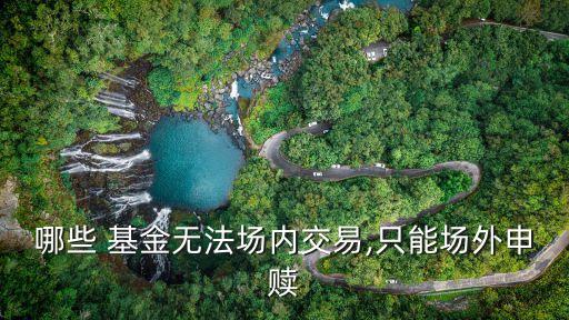 哪些 基金無法場內交易,只能場外申贖