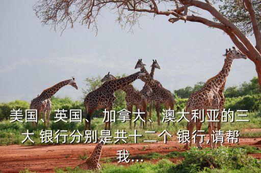 美國、英國、 加拿大、澳大利亞的三大 銀行分別是共十二個(gè) 銀行,請(qǐng)幫我...