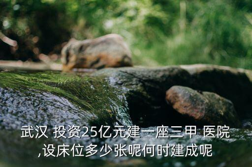 辦醫(yī)院投資,一個大型醫(yī)院要投資多少
