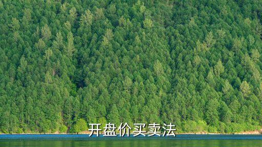  開(kāi)盤(pán)價(jià)買(mǎi)賣(mài)法
