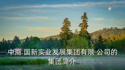 中商 國新實(shí)業(yè)發(fā)展集團(tuán)有限 公司的集團(tuán)簡介