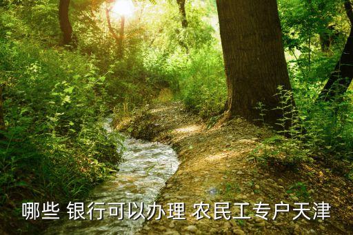哪些 銀行可以辦理 農民工專戶天津