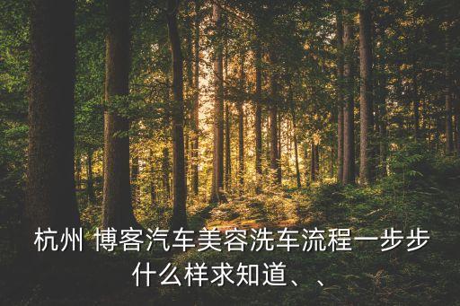  杭州 博客汽車美容洗車流程一步步什么樣求知道、、
