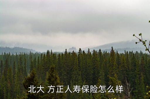 北大方正集團有限公司謝,新北大方正集團有限公司領導