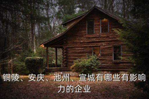 銅陵、安慶、池州、宣城有哪些有影響力的企業(yè)