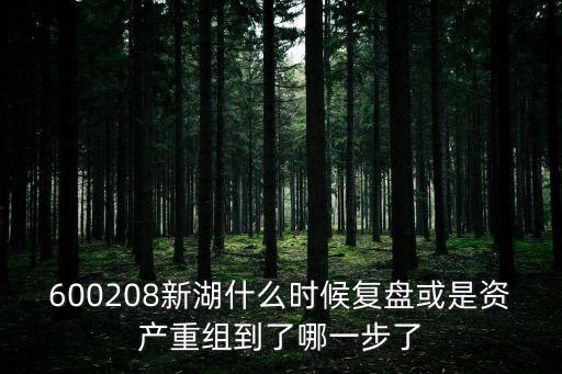 600208新湖什么時(shí)候復(fù)盤(pán)或是資產(chǎn)重組到了哪一步了