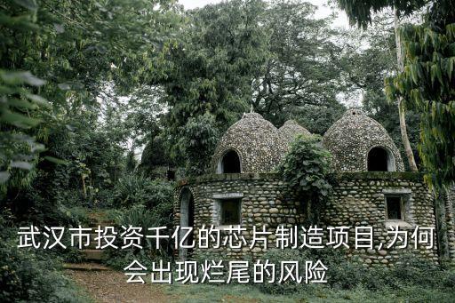 武漢市投資千億的芯片制造項目,為何會出現爛尾的風險