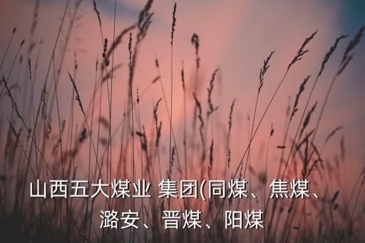 潞安集團(tuán)2015年查處