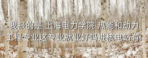 我報(bào)的是 上海電力學(xué)院 熱能和動力工程專業(yè)這專業(yè)就業(yè)好嗎進(jìn)核電站有...