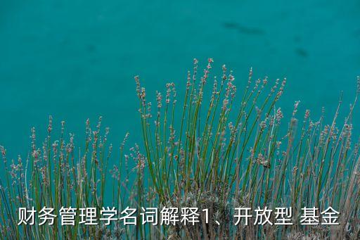 財務(wù)管理學名詞解釋1、開放型 基金