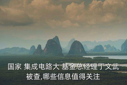 國家 集成電路大 基金總經(jīng)理丁文武被查,哪些信息值得關(guān)注